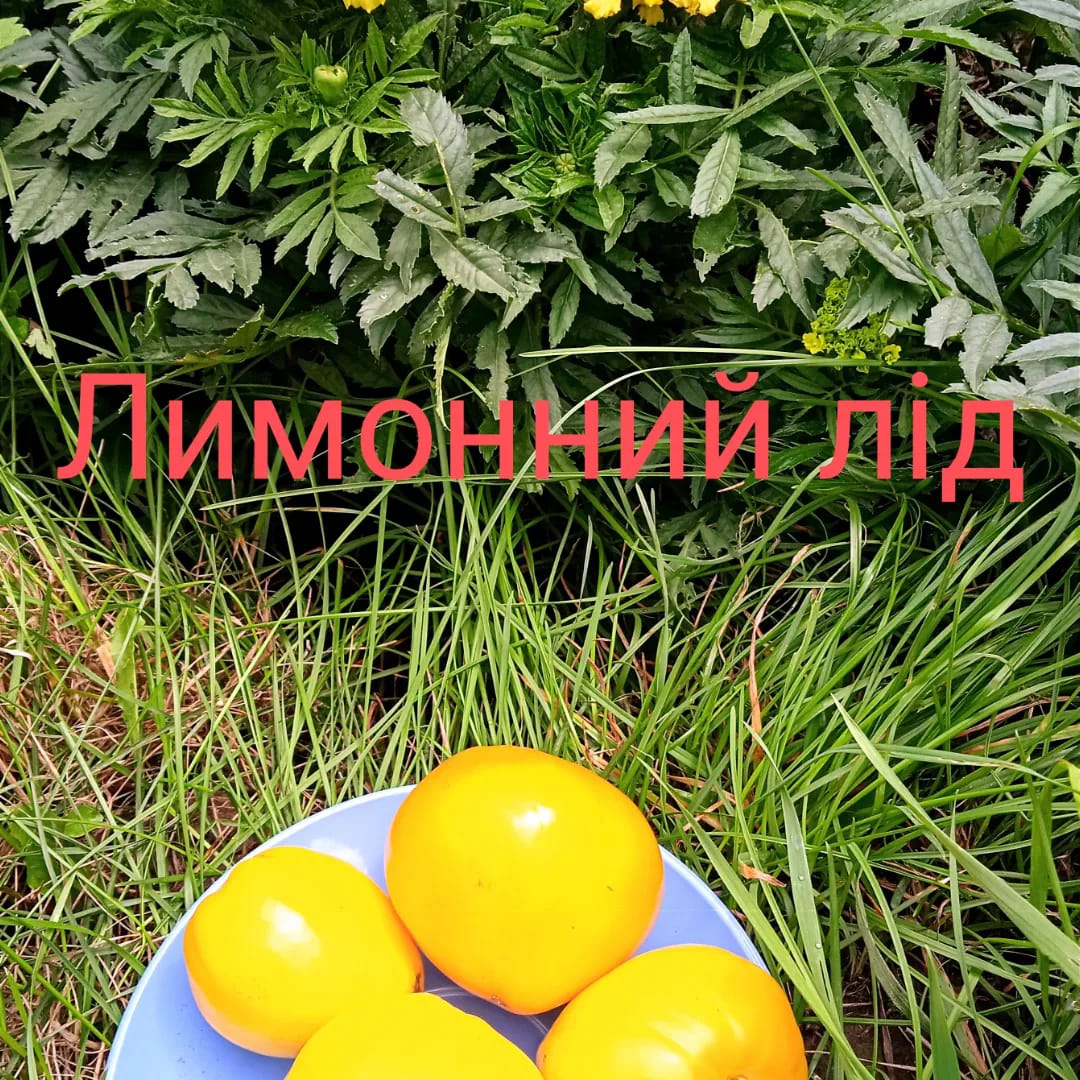 305846517_193903096416138_4299415274766365207_n