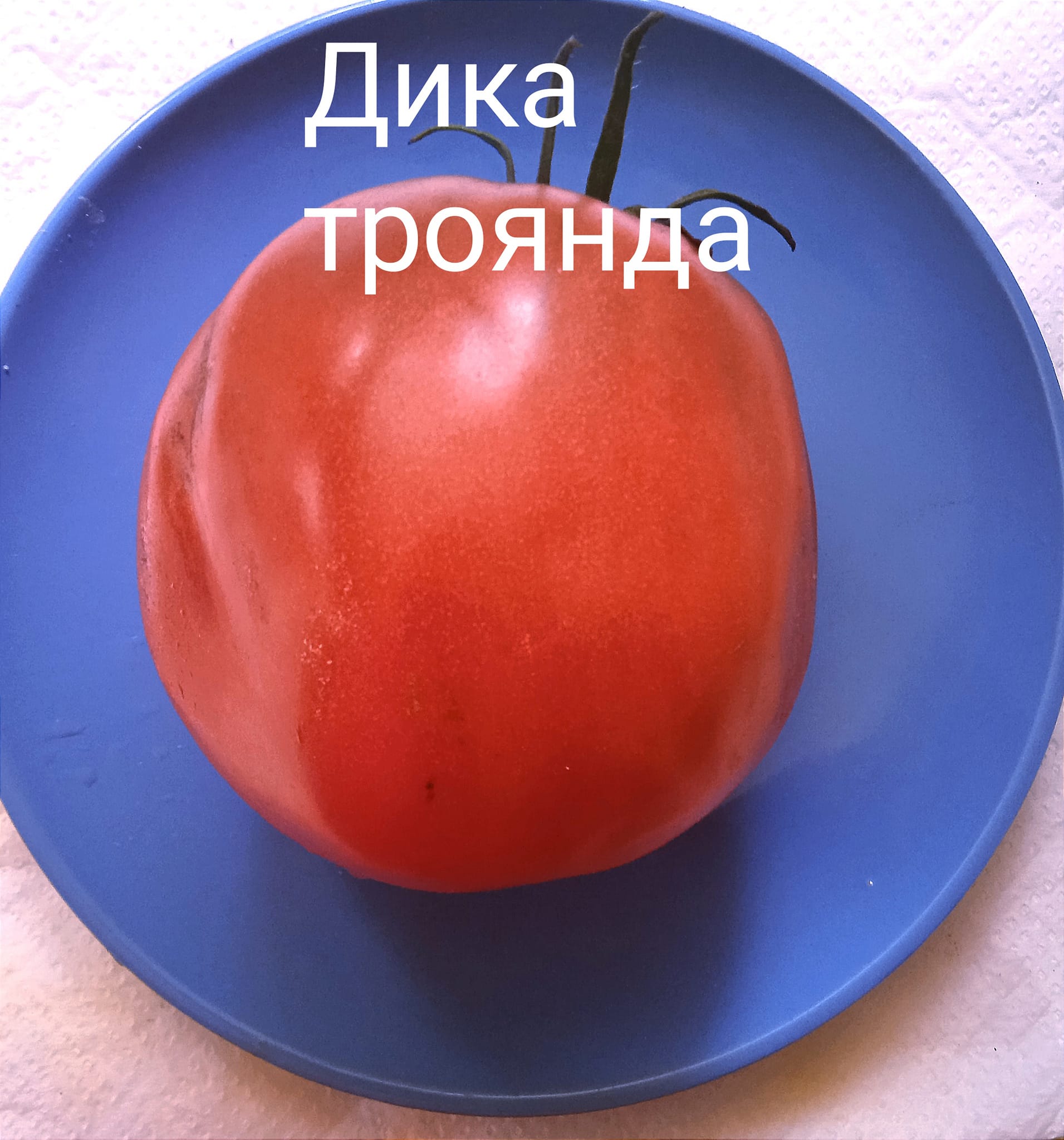 365391328_311755847964195_3505877324288660474_n