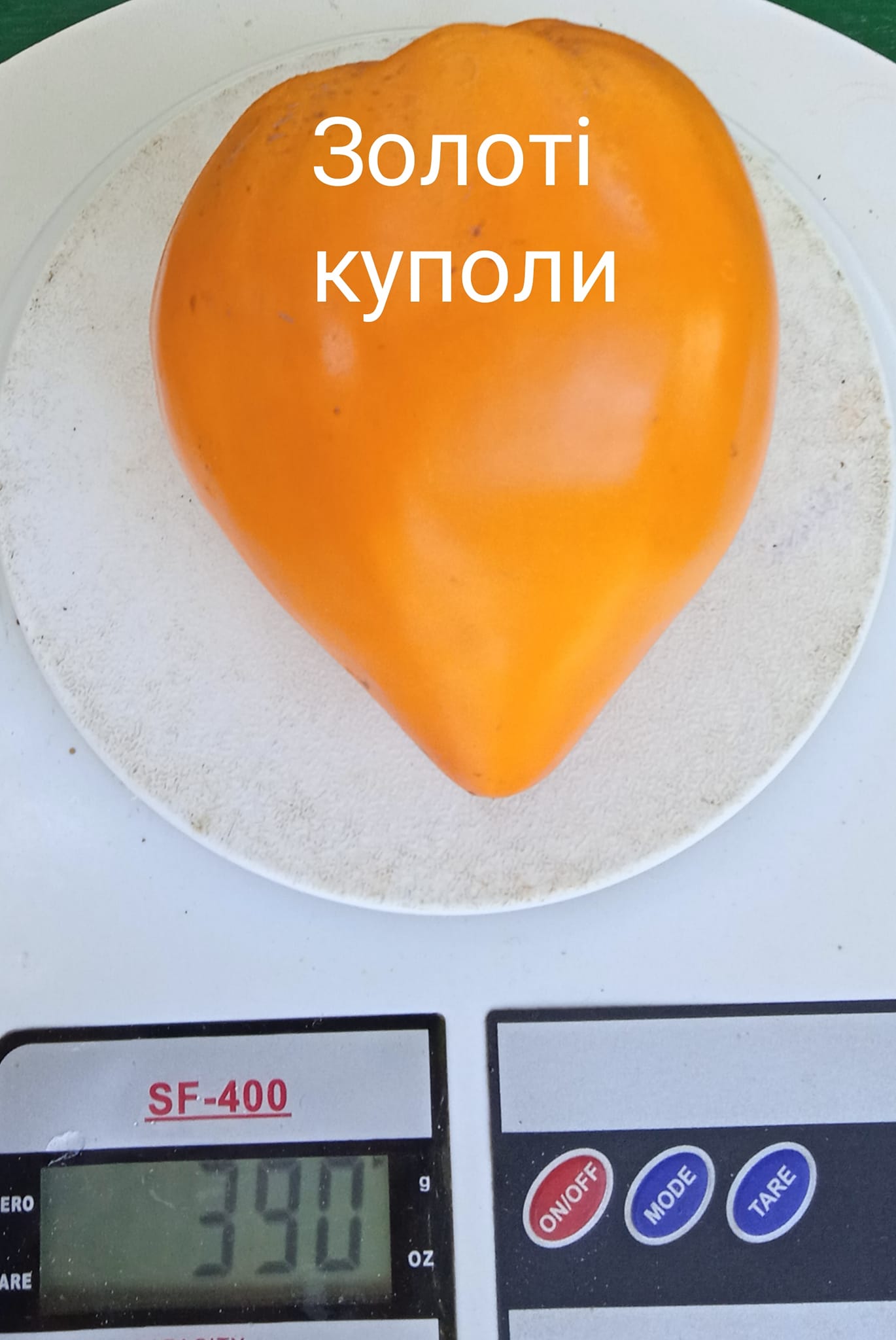 400810886_368079305665182_1542501817524865714_n