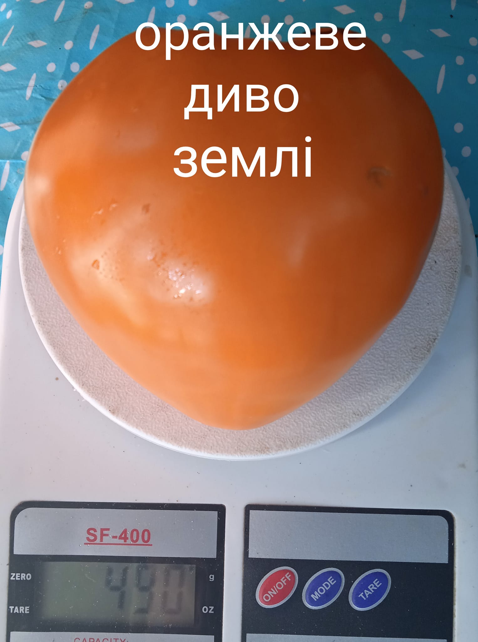400888258_368078725665240_1910173862279829242_n