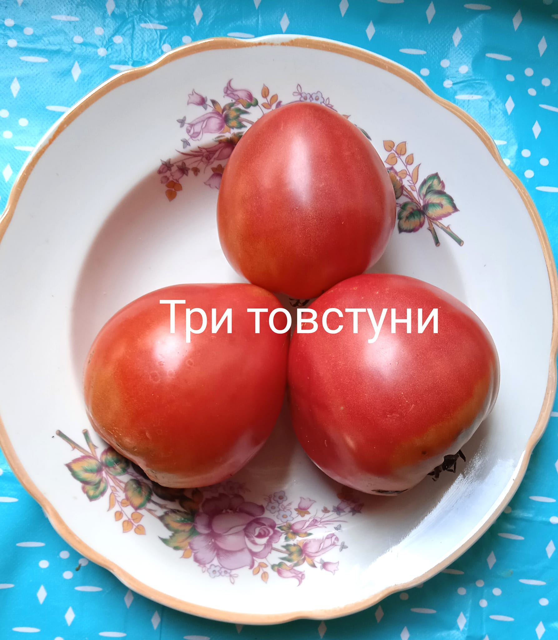 401634259_368098992329880_7438395343681012402_n