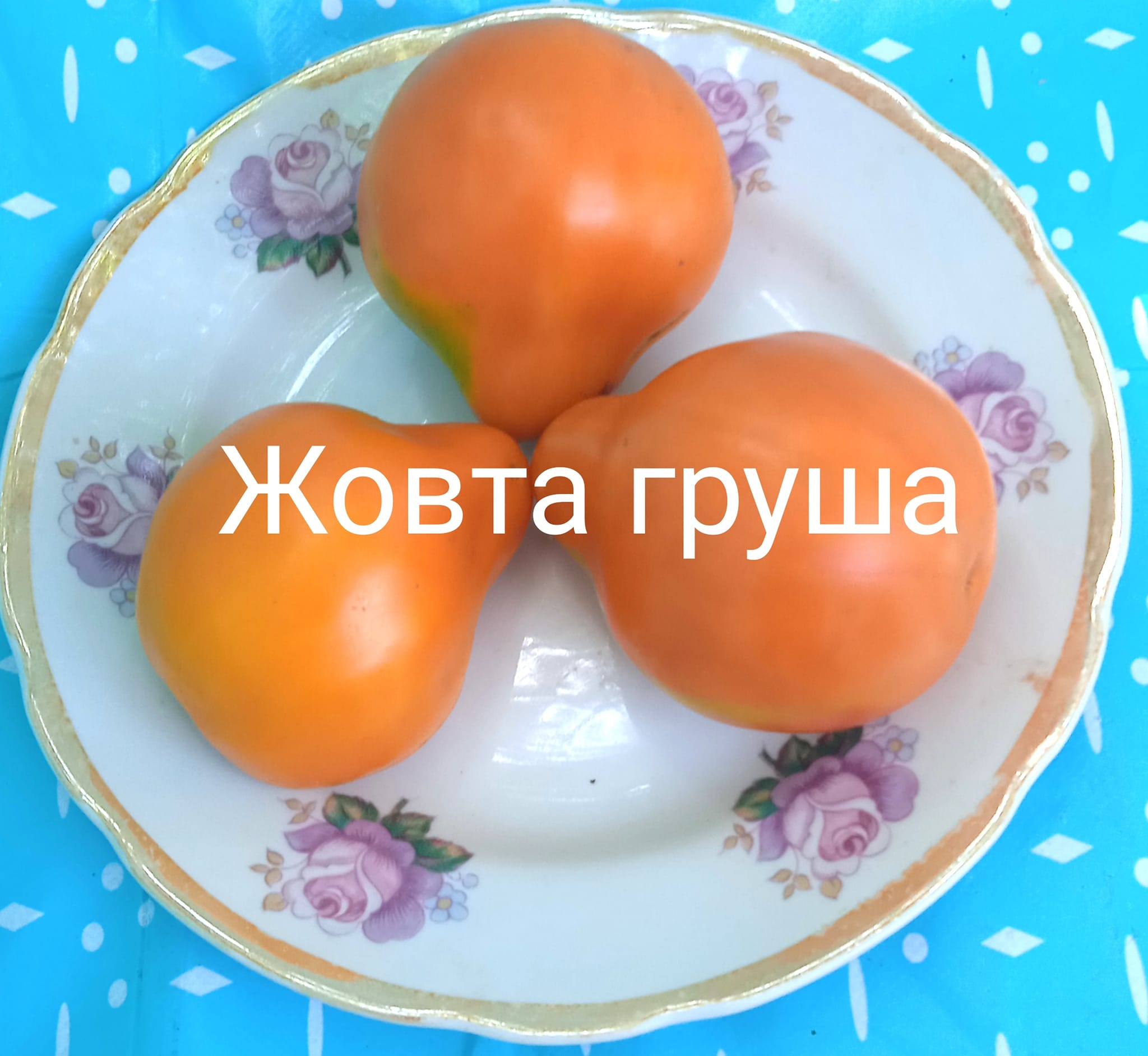 401660564_368078528998593_3270336909191490825_n