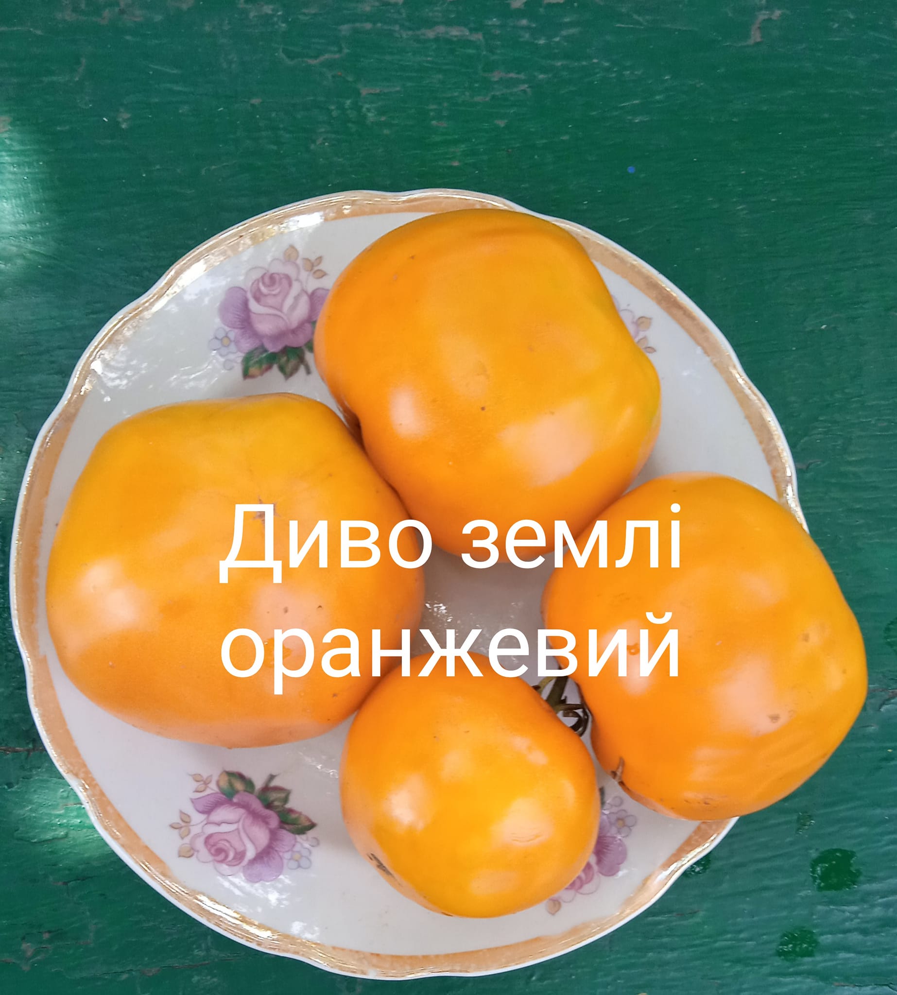 401662496_368079022331877_3707397529778516147_n