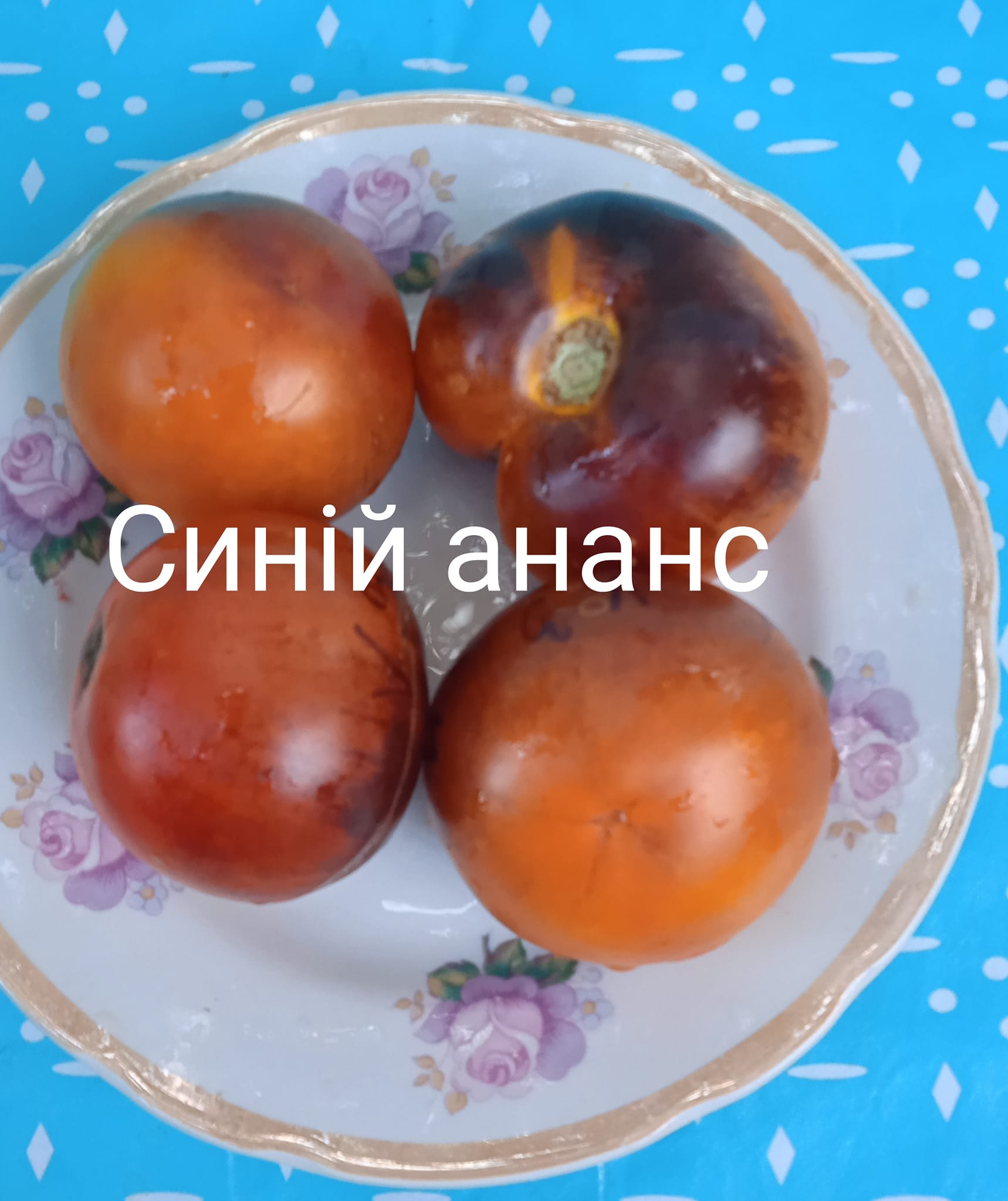 401681858_368078218998624_8787219836405338315_n