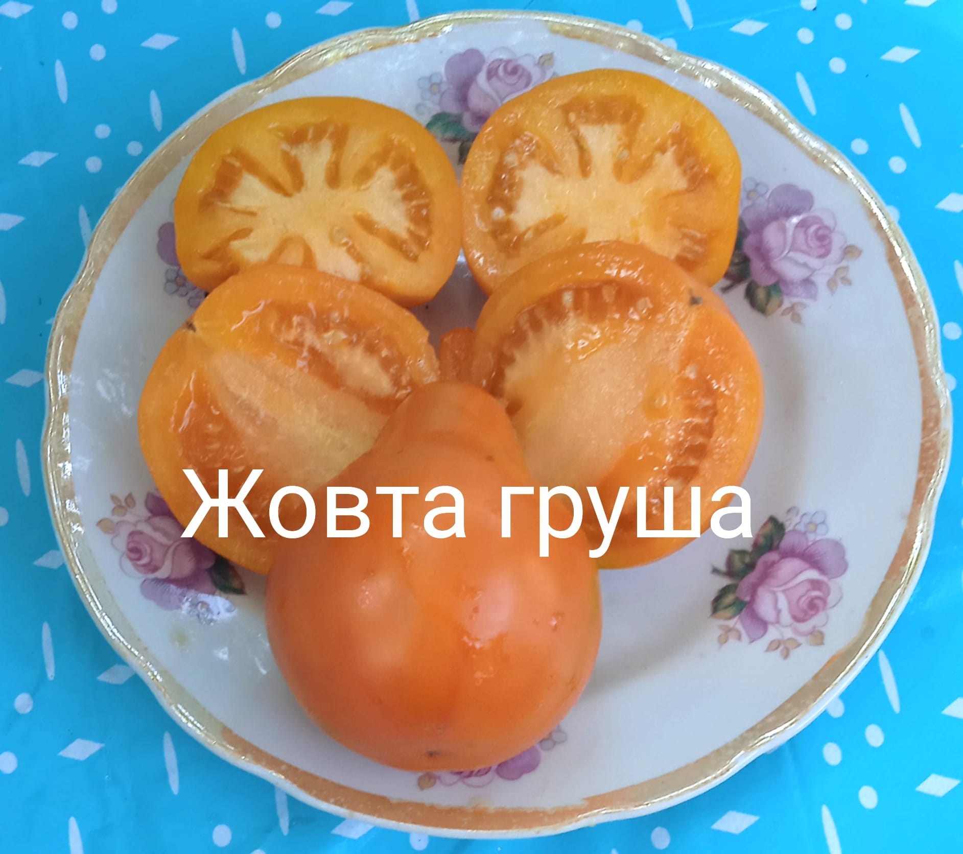 401776557_368078435665269_7050448287286969362_n