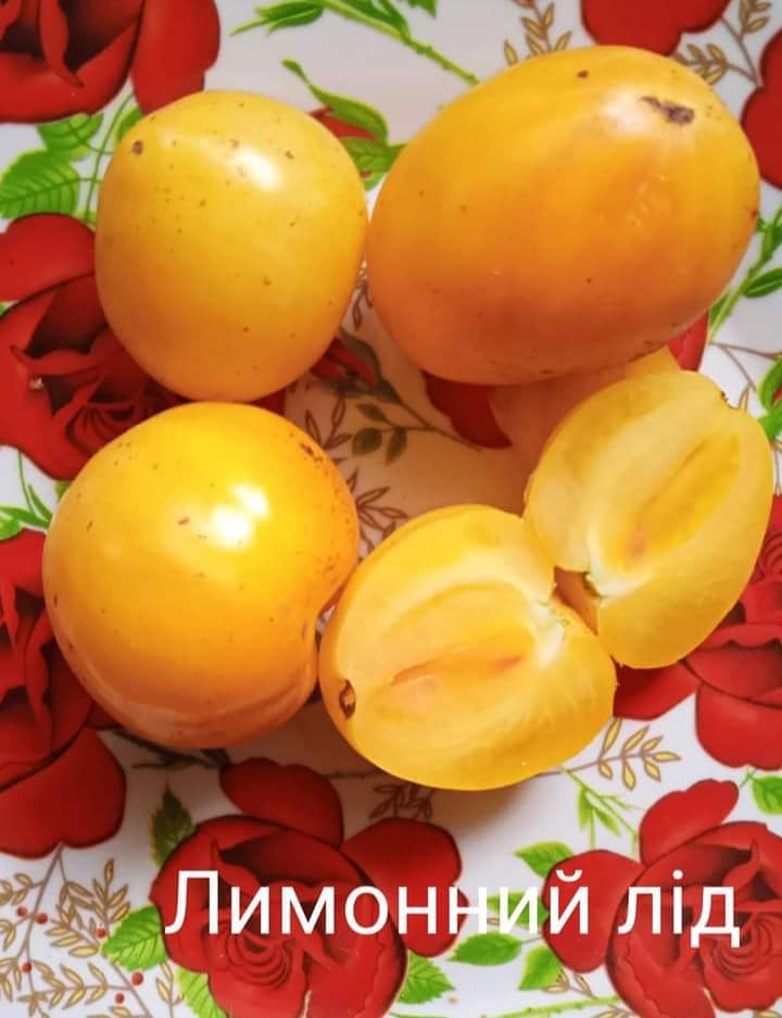 402186913_368076435665469_4777751252092020277_n