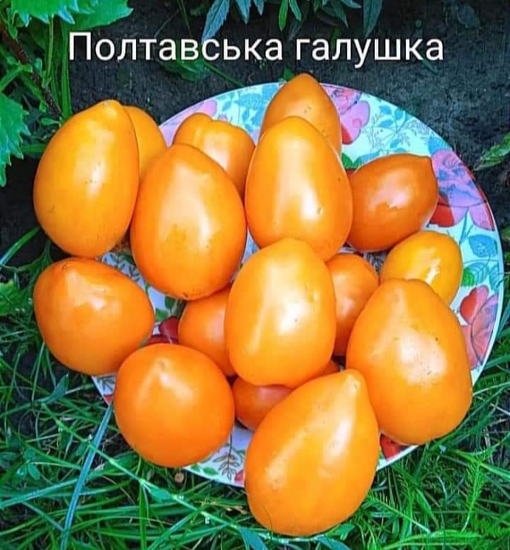 402249570_368076305665482_280944421517047861_n