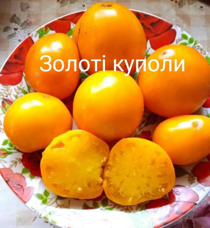 402373288_368097708996675_4769344746936270552_n