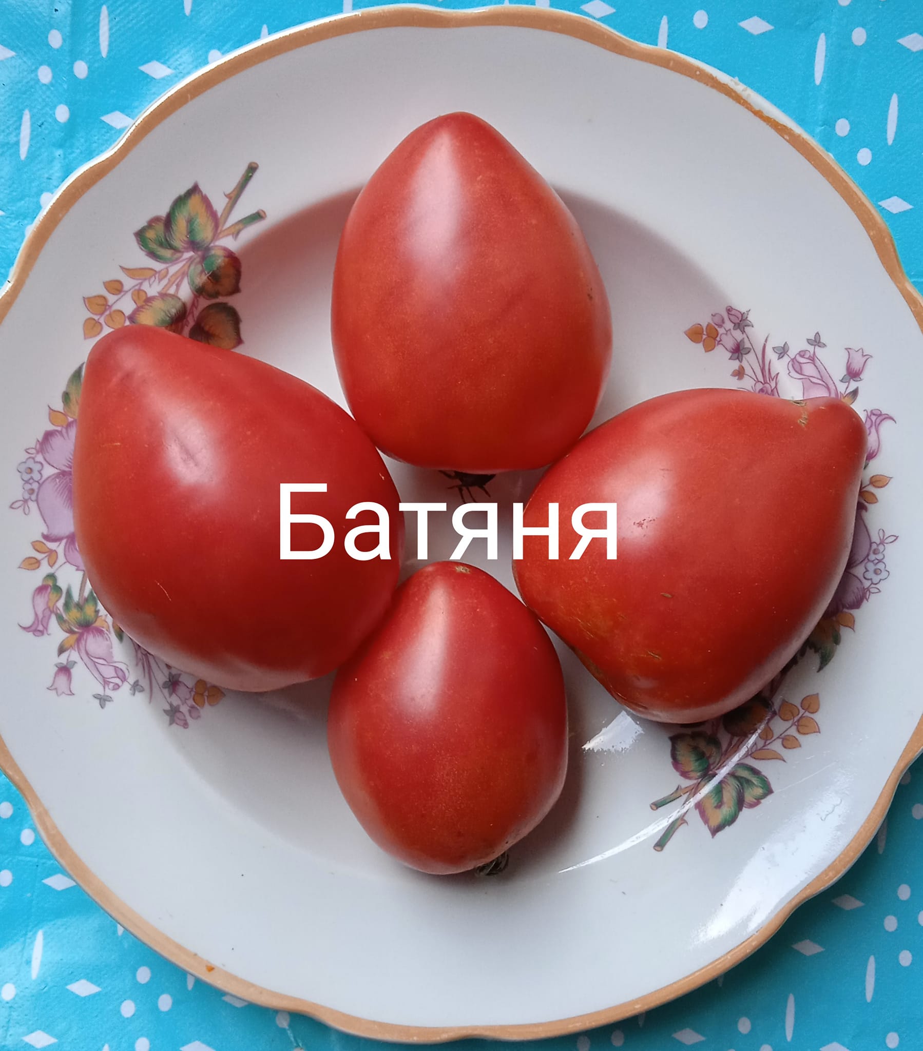 405305962_376625401477239_8964038053707386553_n