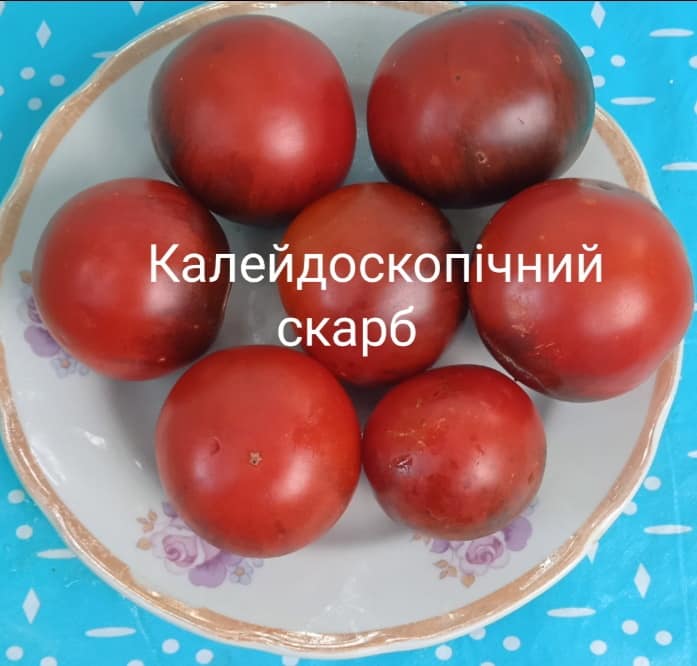 421973725_416956010777511_4387004313699537000_n