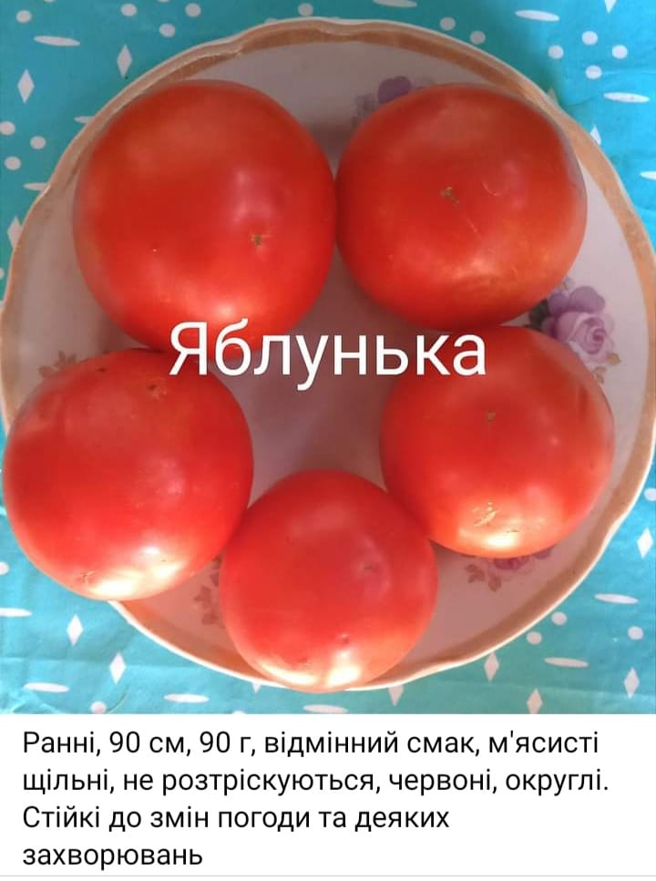 425702784_413483567791422_4467421007466971494_n