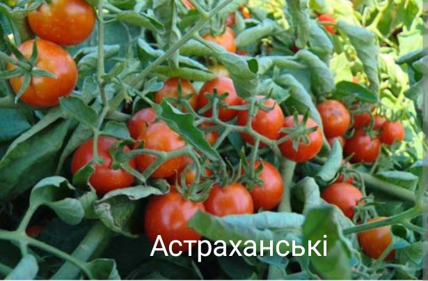 photo_2024-11-16_23-15-39