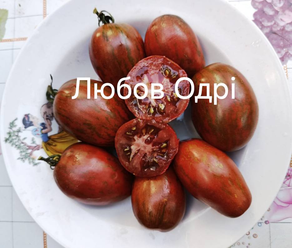 554375992_823132816826493_1002786221798770013_n