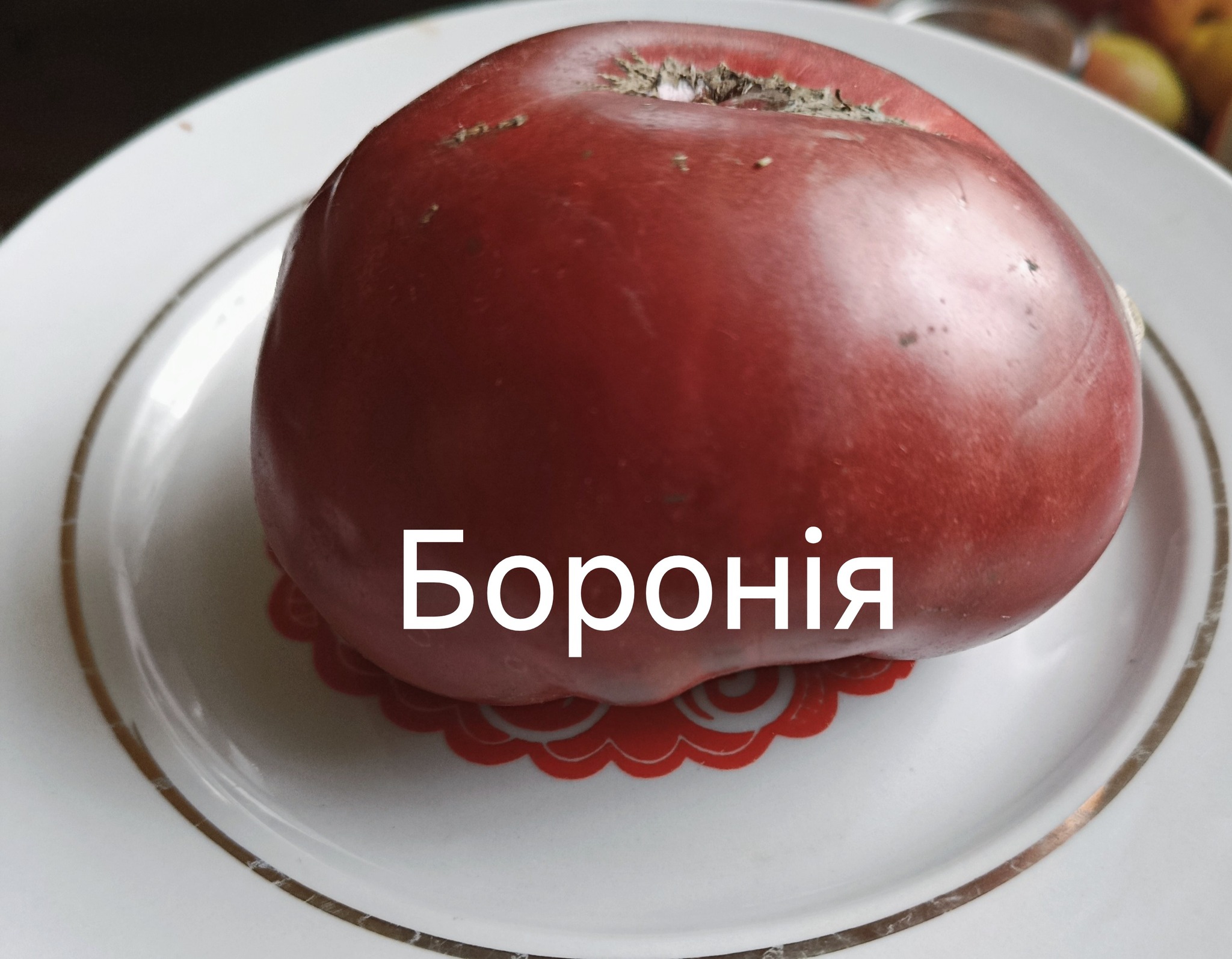 557635602_831760072630434_342103848885123273_n
