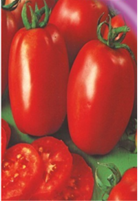 Сан Марцано2