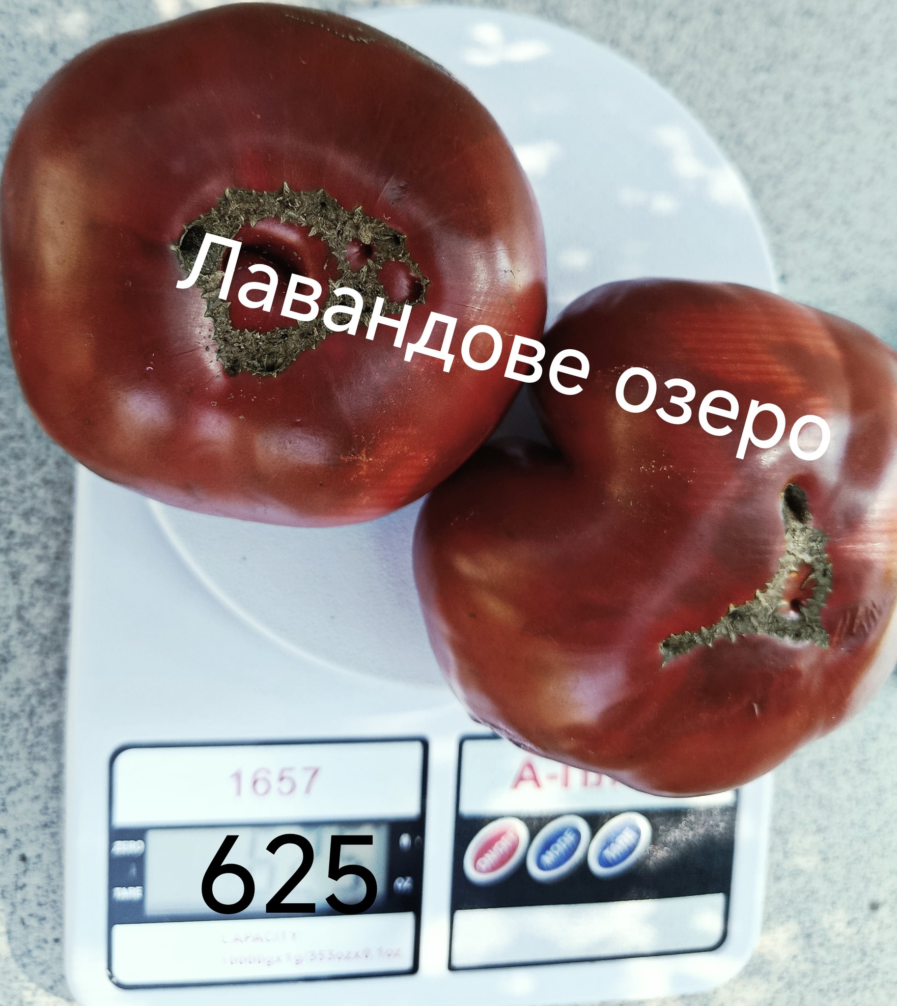 539852295_801008099038965_1639458672235864822_n