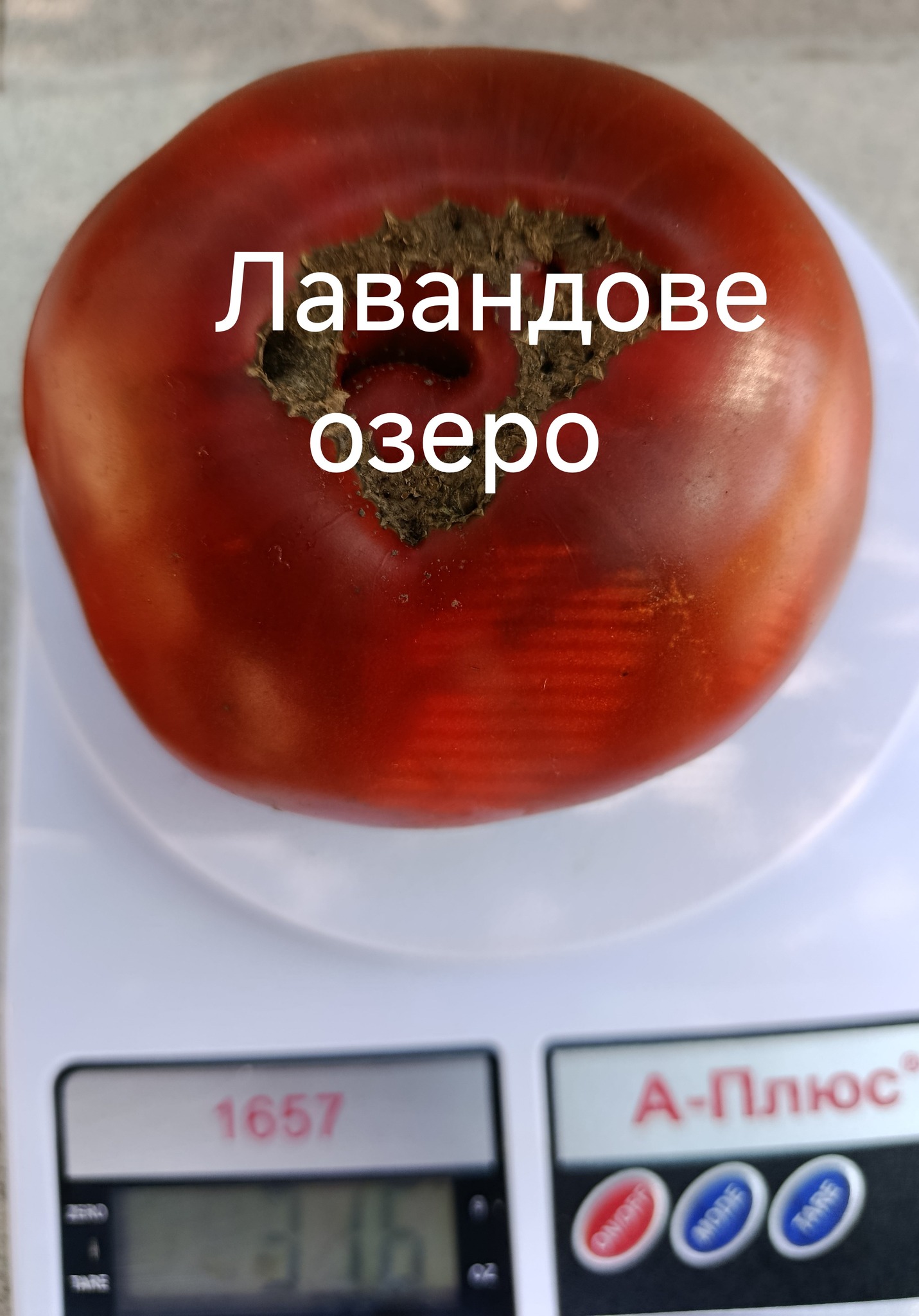 540463753_801008229038952_8712349286272654951_n