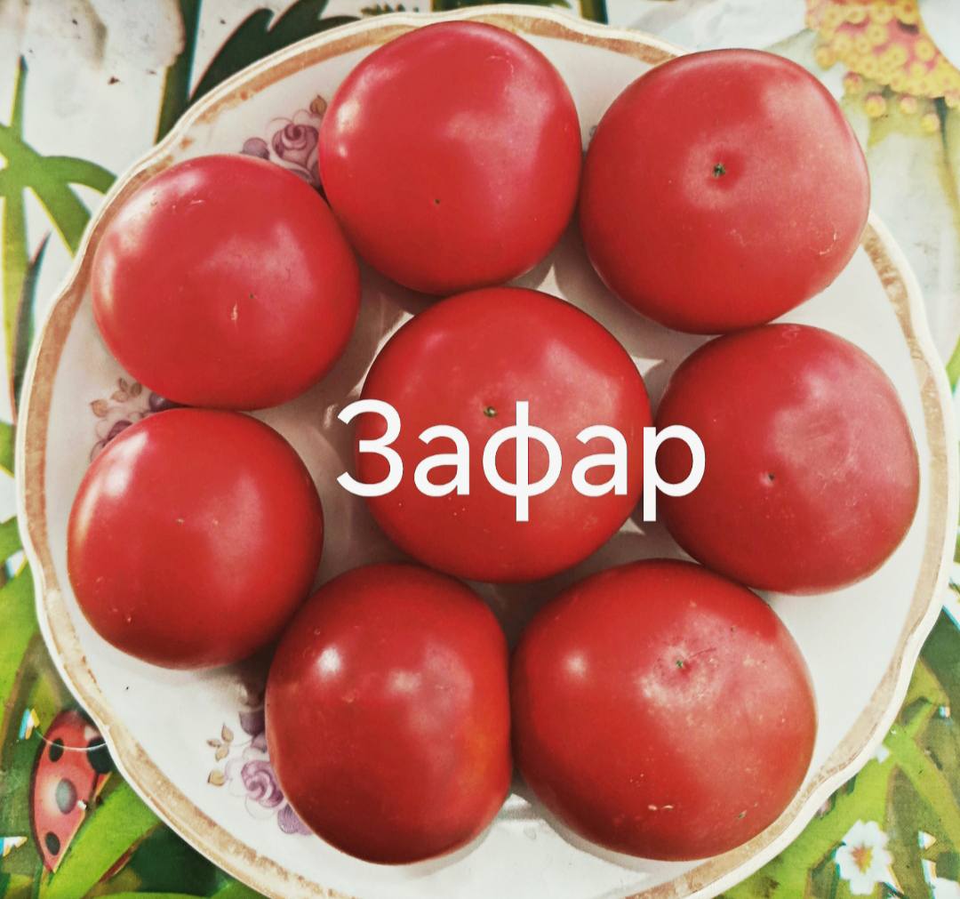 541492716_804833498656425_4643739052588299896_n