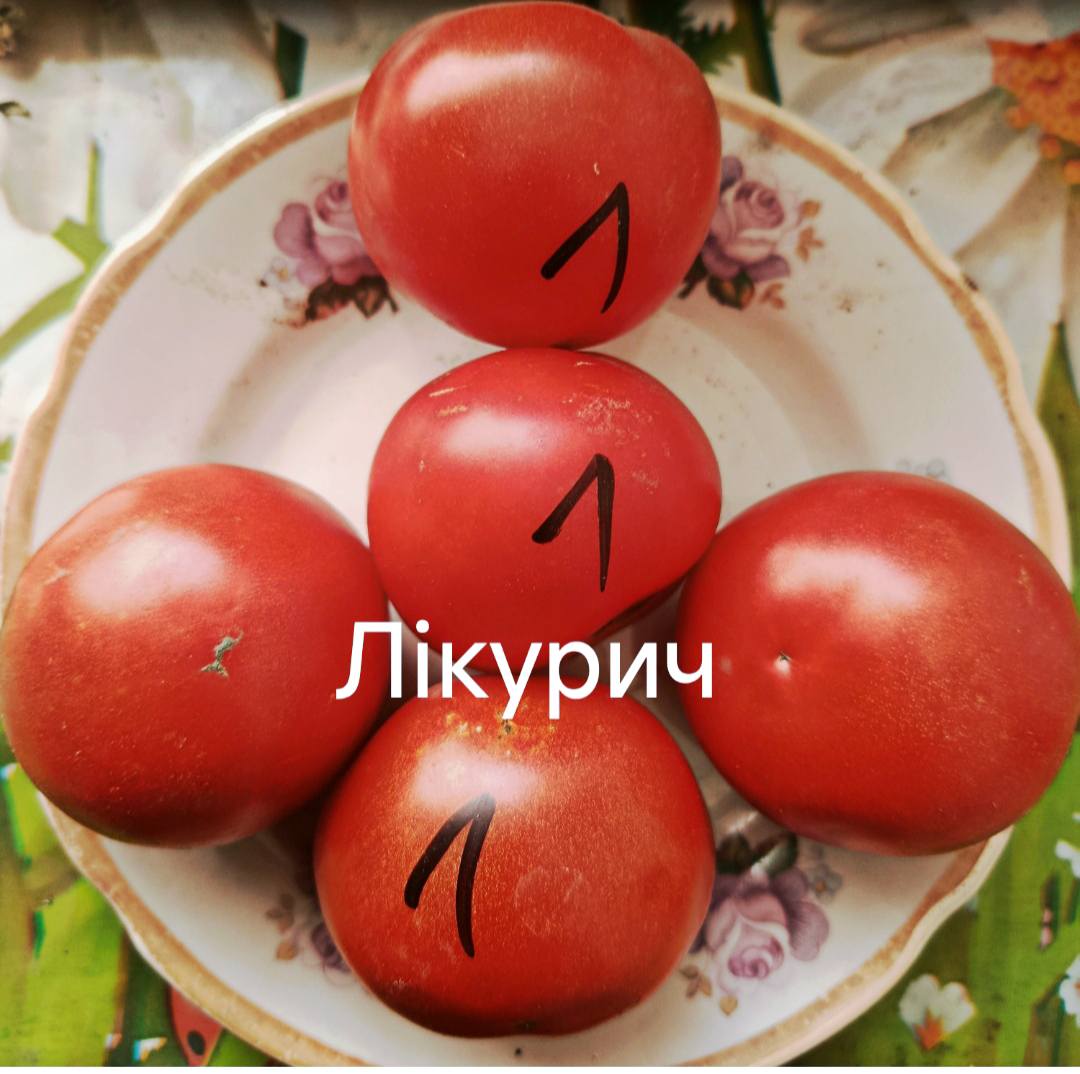 541745337_804036925402749_6757425558188451011_n