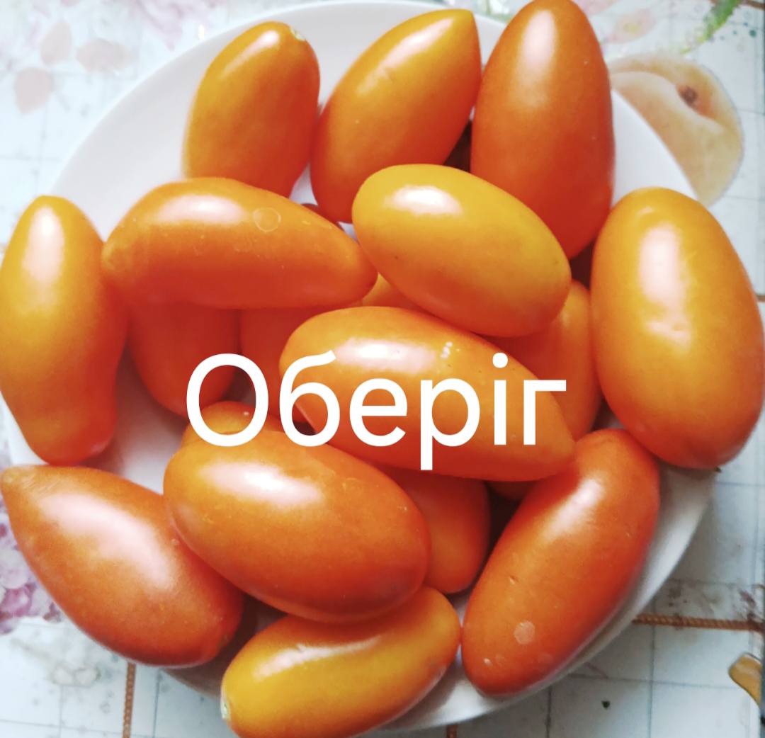 557256705_832739239199184_6925742955882786062_n
