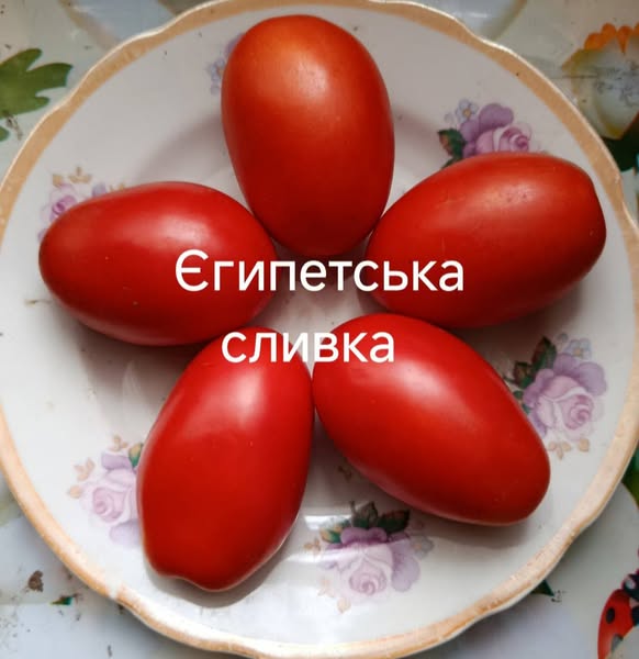 557630633_830301249442983_7960132017473974955_n